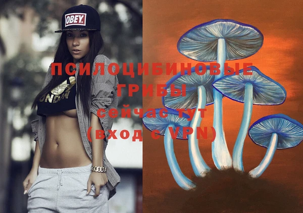 мескалин Алексеевка