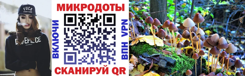 Псилоцибиновые грибы Psilocybe  Купить закладки  Курчатов 